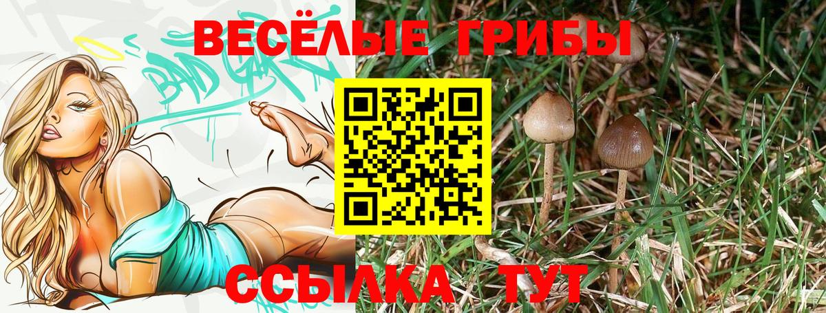 Псилоцибиновые грибы Psilocybine cubensis  Вход с VPN  Галлюциногенные грибы MAGIC MUSHROOMS  Тольятти 